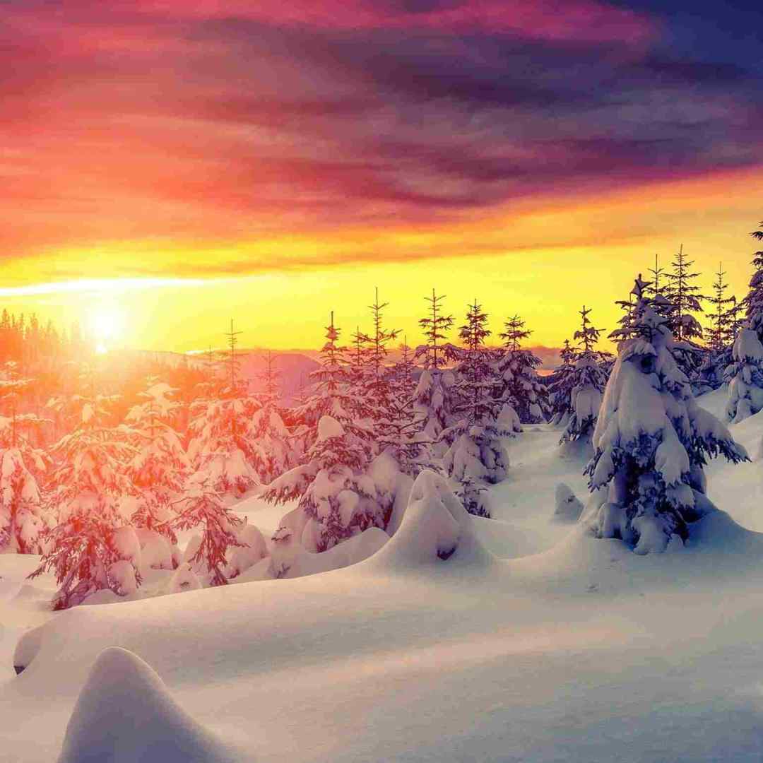  به کی بگم که چشمات تو غصه زندونم کرد