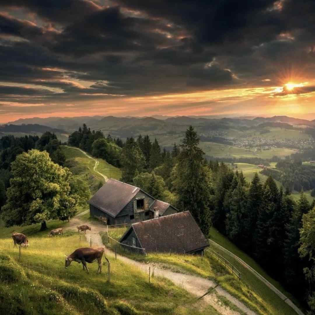  حالا میگن همه راست میگن همه