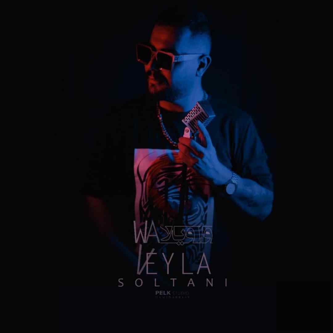 محمدرضا سلطانی هی واویلا