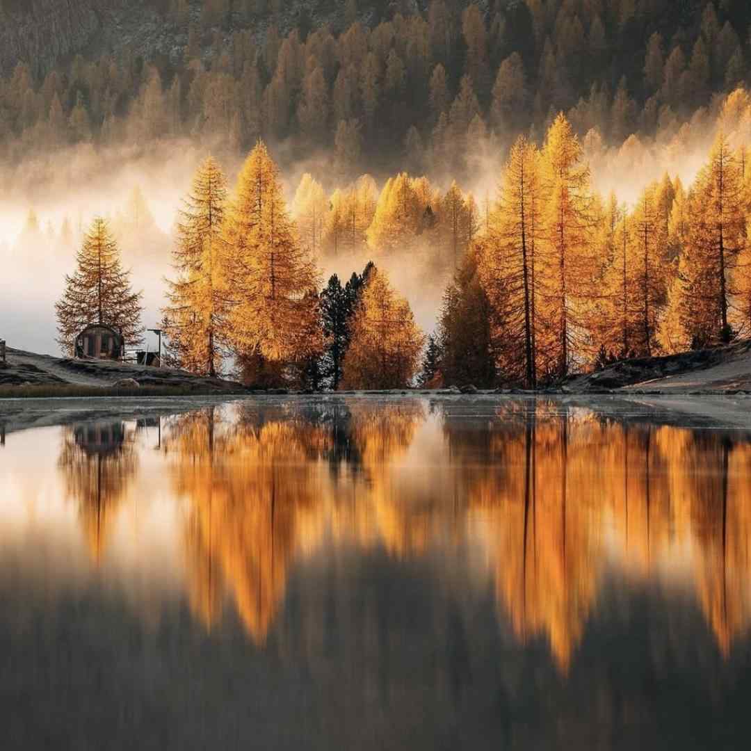  مستم کن امشب ساقی کجایی با صدای زن