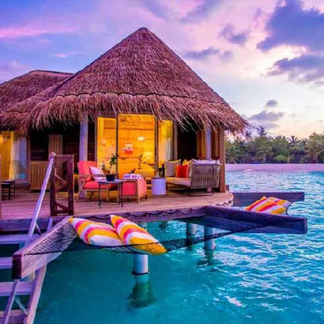  تازه میخواستم اخلاقای گندم و پس بگیرم تموم شد