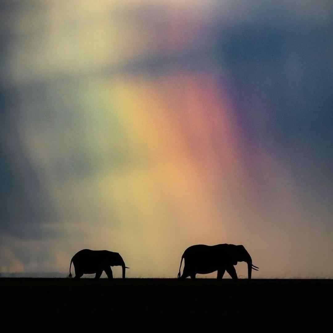 کی میشه یار برات همدم و غمخوار برات