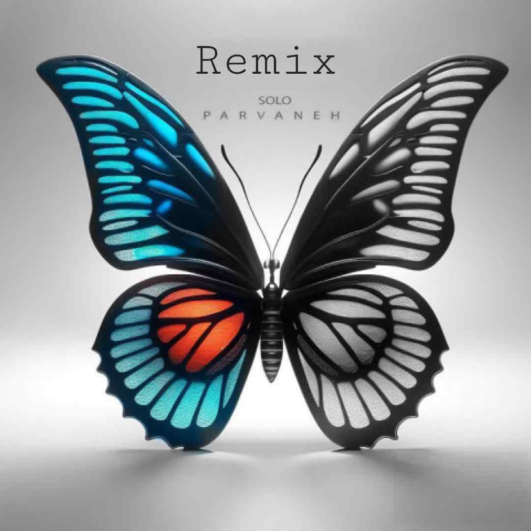 احمد سلو پروانه