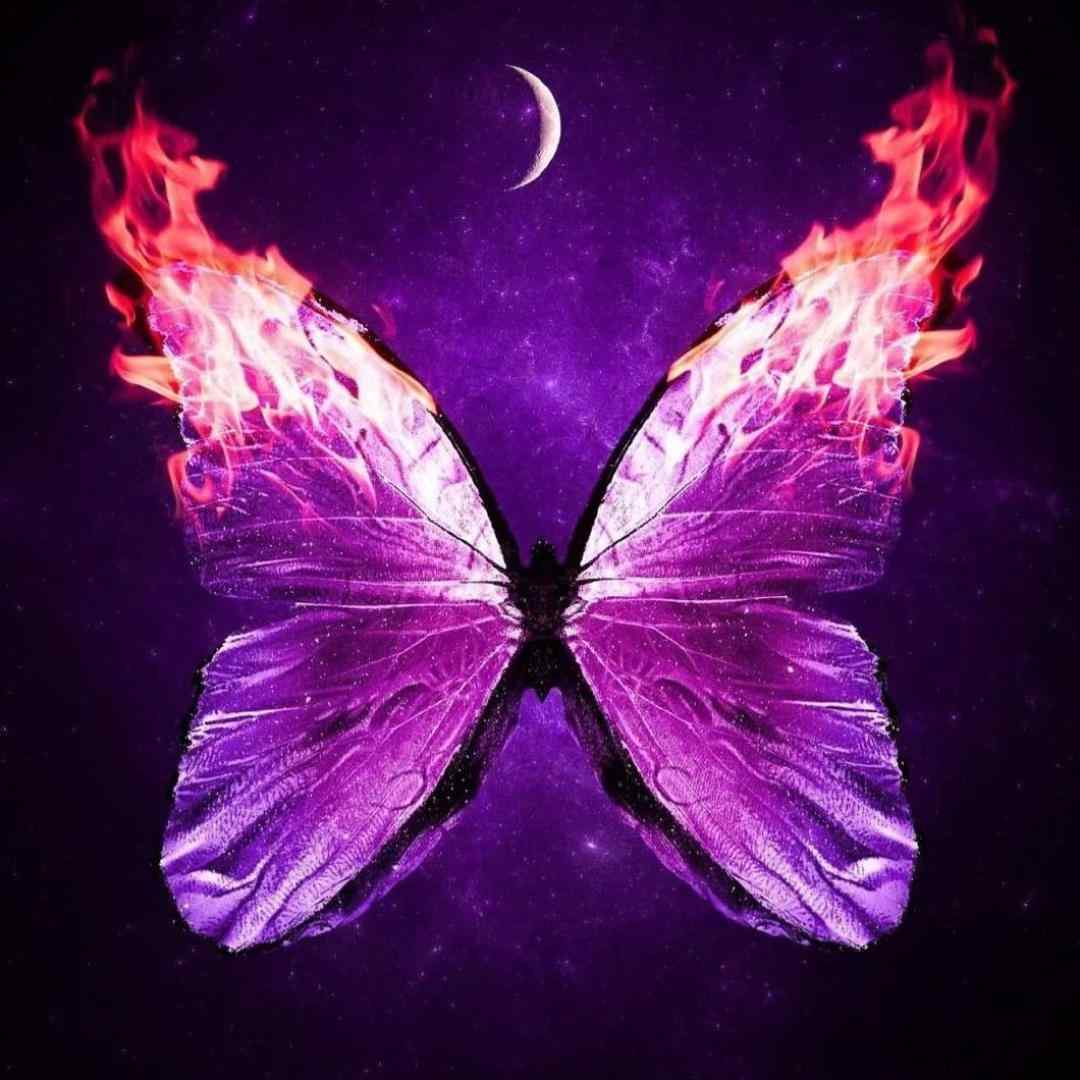  وقتی این بار رفتی شدش حسام عجیب میلرزیدی دیدم چشمات