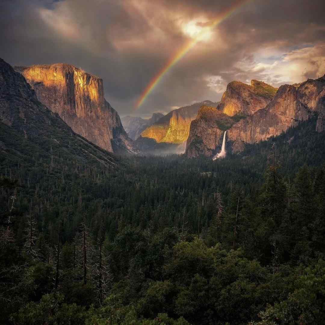  امشب ای دوست به کاشانه ی ما آمدی
