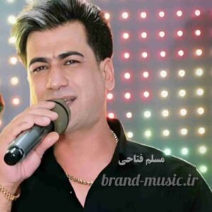 دانلود تمام آهنگ و ریمیکس های مسلم فتاحی