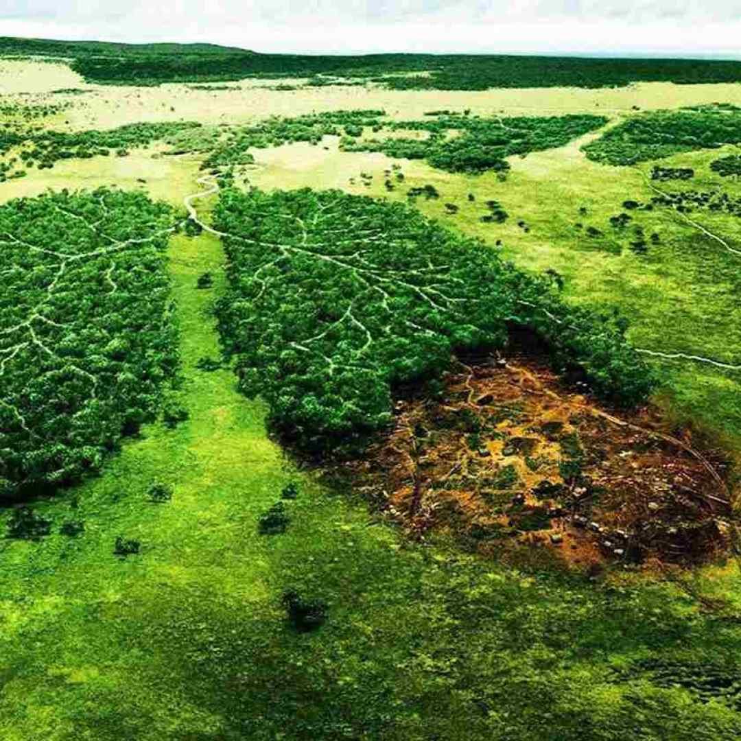  پوستمون مثه رنگ شب تیره وقتی ترک میدم دنبال خط جدیده