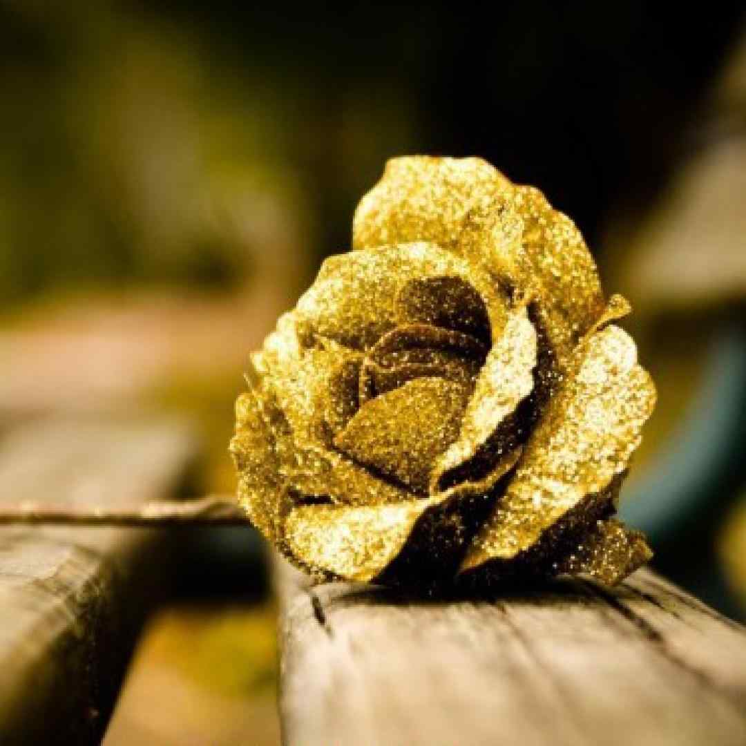 شده بترسی چون پولش شده یهو زیاد