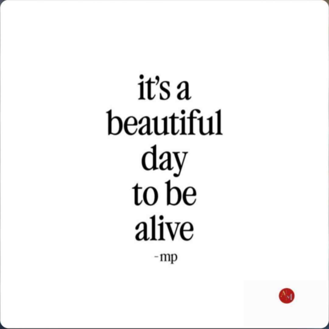 Mike Posner Beautiful Day