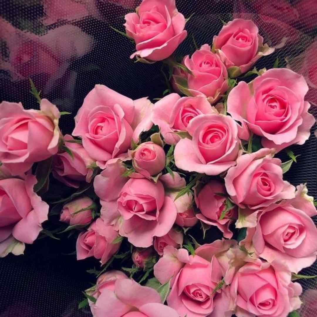 میاره دوتا پیک جلو روم و هی میگه سلام سلام