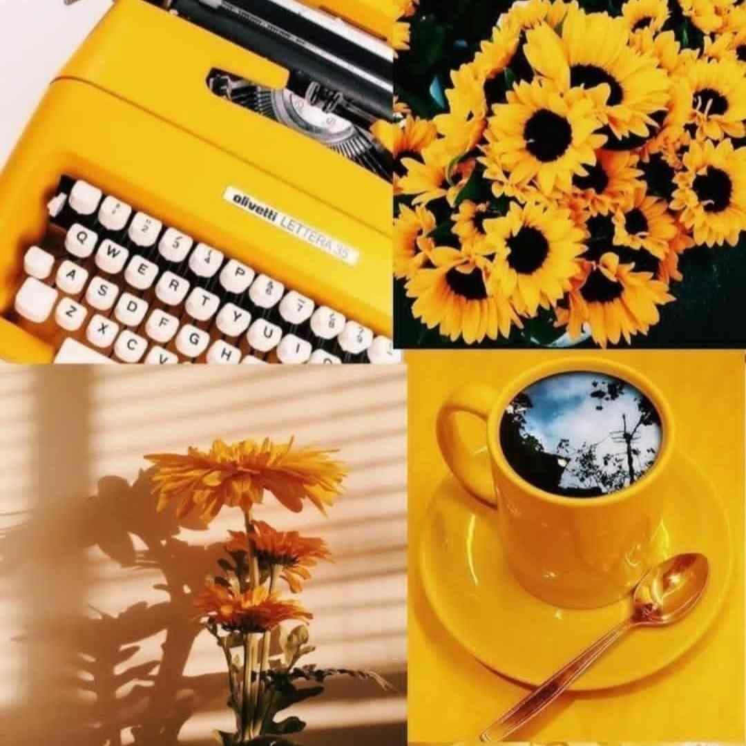  لباس تو تو تن من لباس من تو تن تو