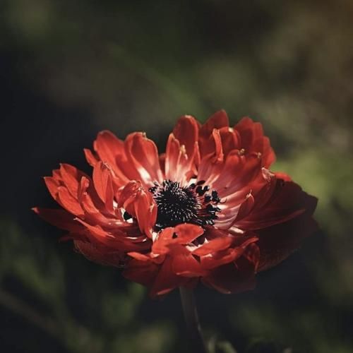 یکی وسط داره میرقصه یکی لش روی کاناپه