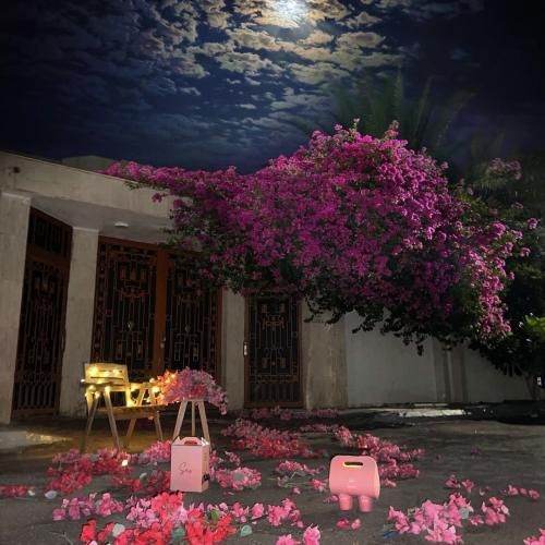 بعد تو حسم به همه فیک وسطش همش میخوام