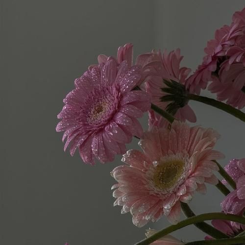 چیزی از درداش کم نمیشه حتی اگه بخوابه