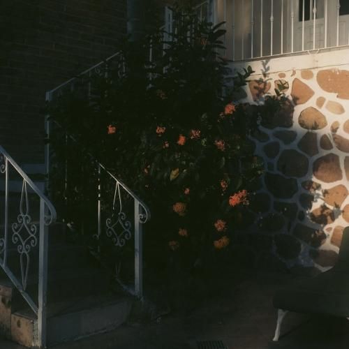 سال جالبی نمیشه اگه زندگیم رو بکنم فصل بندی