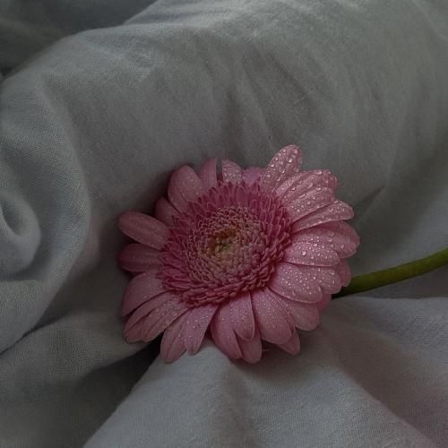 بم میگن بمون نرو بری بده میگم ما