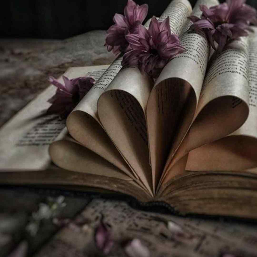 سامیلیک تا اومدیم سریع چاقیدیم میفیر بلوار واسم سر پالیزی