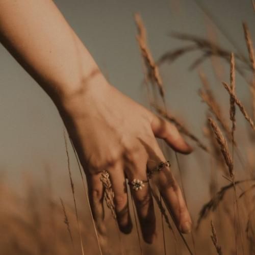 باز نمیکنم جایی سفره دل از دید من هر گوشی