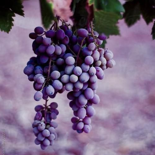 سلامتیش مخصوصا اگه دهه شصتیه (اینستایی)