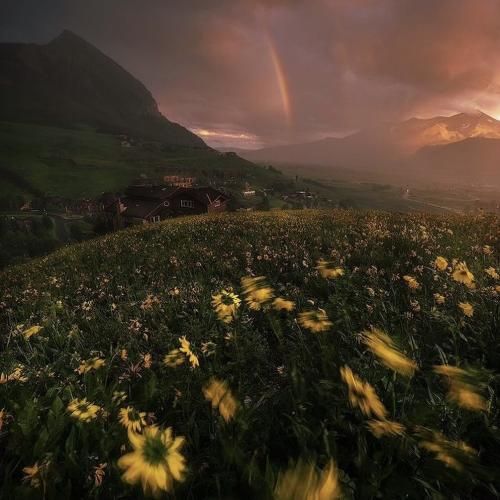 خودم قهرمان پسرم میشم تلاشام منتهی به ثمر