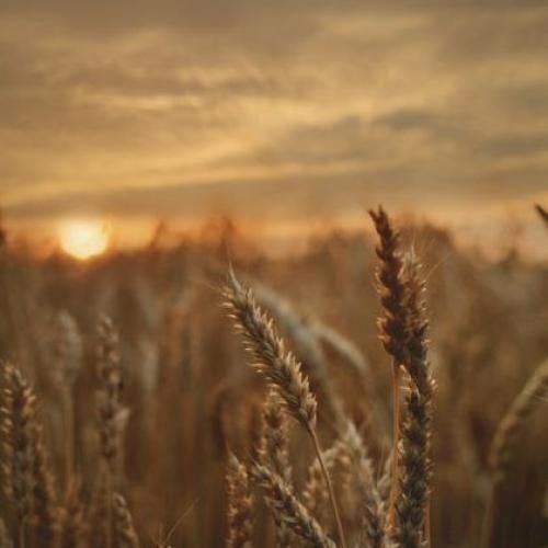 میبینمت از دور میام پیش تو من زود خداحافظ