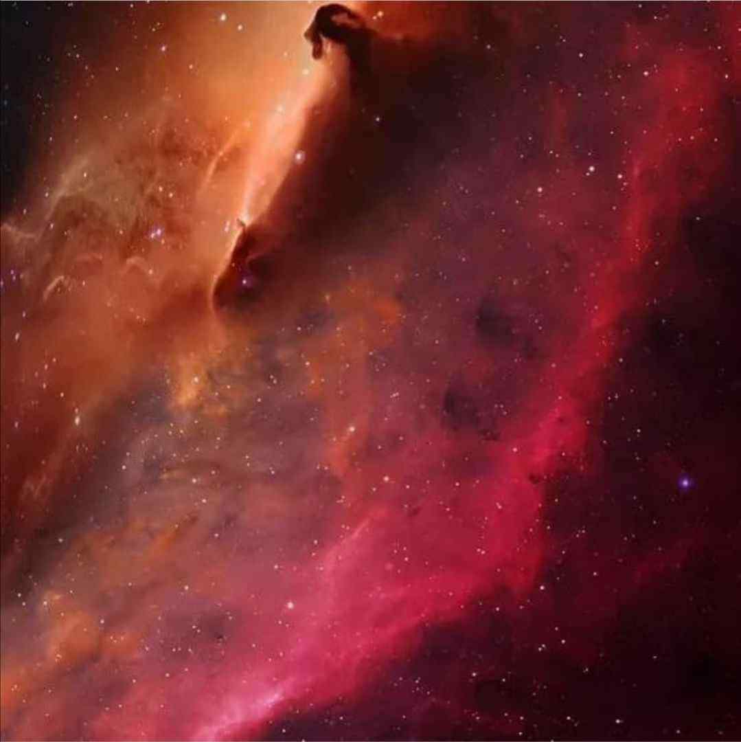 زمین خوردی پاشو بت یاد میدم خودم راشو زدم راش