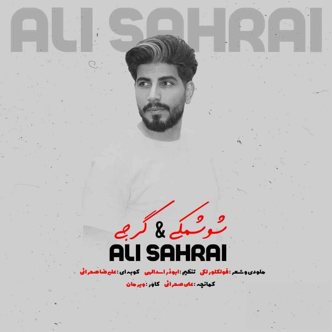 علی صحرایی شوشمکی و گرجی