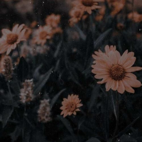 دل منو تو دو همزبونن دو هم زبانی که غم همو