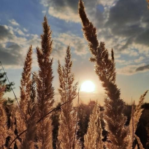 تو یه لنگه از خودت جا گذاشتی سیندرلا تو رویای کودکیم