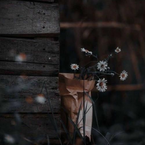 مدتی بود حس میکردم که دلت یه جا اسیره