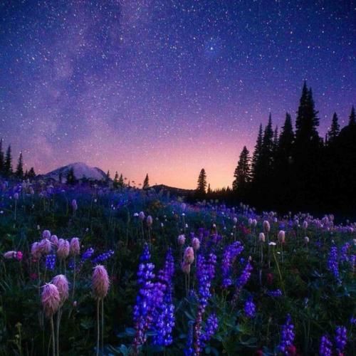 ﻣﻴﻮن اﻳﻦ ﻫﻤﻪ ﺧﻮﺷﮕﻞ ﻛﻴﻮ اﻧﺘﺨﺎب ﻛﻨﻢ