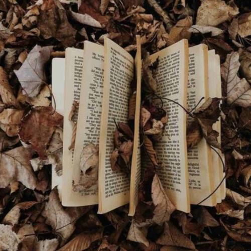 اگه تو از پیشم بری شمعدونیا دق میکنن