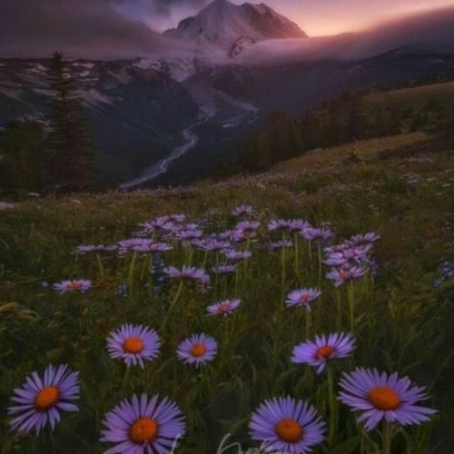 سر نماز گفتم خدا کاکل زریشونه با صدای زن