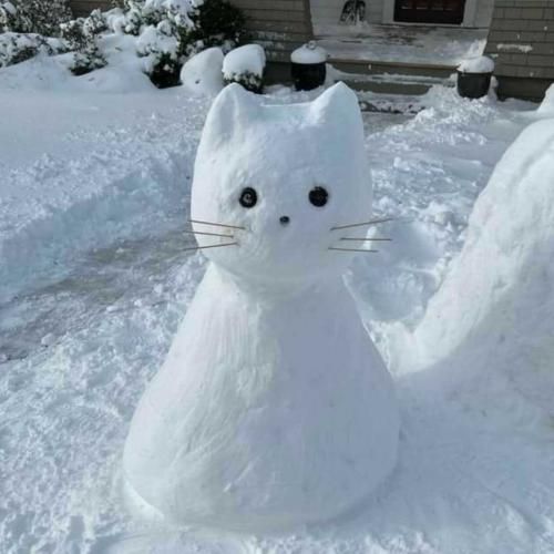 تو یه دو رویی یه آدم پست