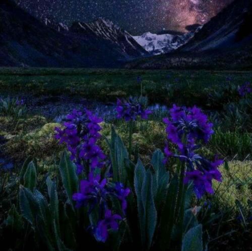 یه عمریه وعده بیجا میدی وعده امروزو