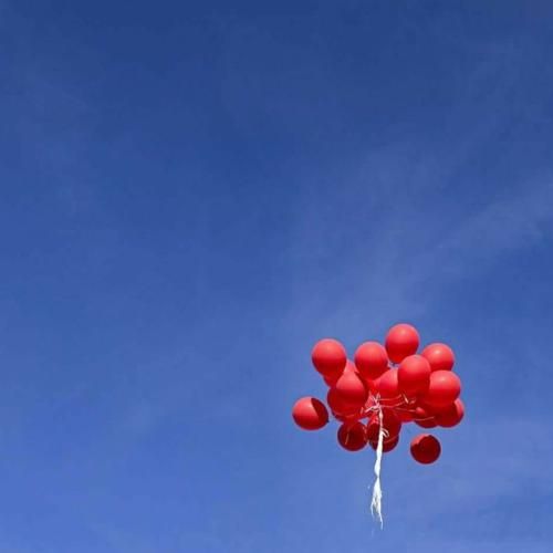 تو کدوم از این گلایی رز لاله نسترن