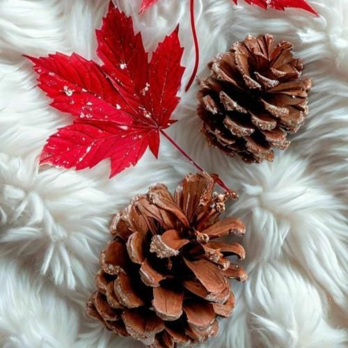 گاهی وقتا ادم میکنه هوس که بره