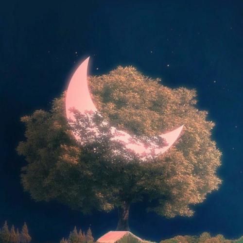 تولد گنگ فقط گل سنگ همه خوبا دارن توقع زنگ