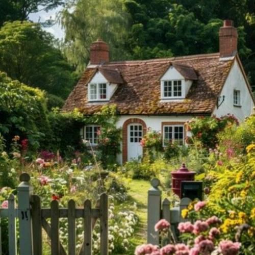 تولد زیده بیا بریم بیرون داش گلم تولد زیده