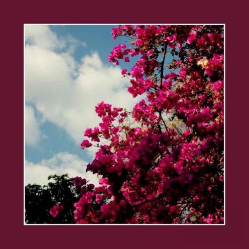 حیرون بشی ای دل الهی خون بشی ای دل