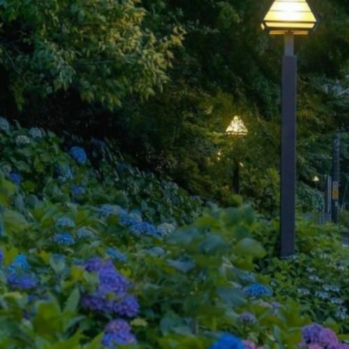 از زندگی سیرم مکن ای بی وفا