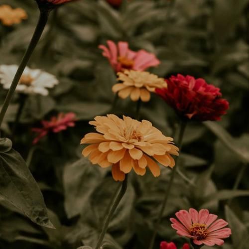 دعا میکنم دم رفتن یچی چا بذاری واسه گرفتنش