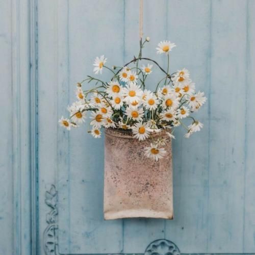 عید امسال من تنها همینجا میمونم هیچ جا نمیرم