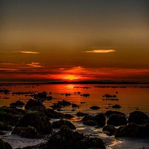 عرب خلیج نداره شمال کویر نداره