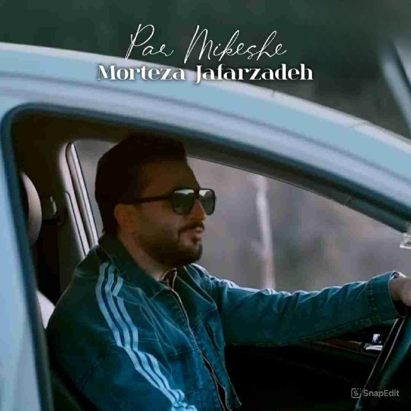 دانلود آهنگ جدید پر میکشه از مرتضی جعفرزاده
