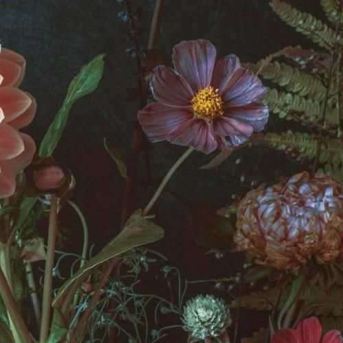 آیا در آن لحظه ندیدی که من پر از احساس دردم