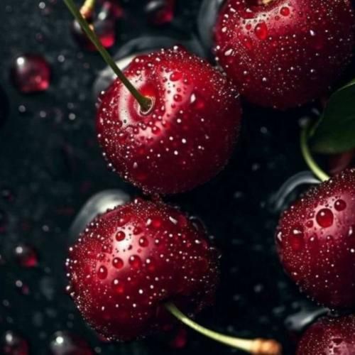 آخه ببر و بیار داریم ما دل بیقرار داریم ما