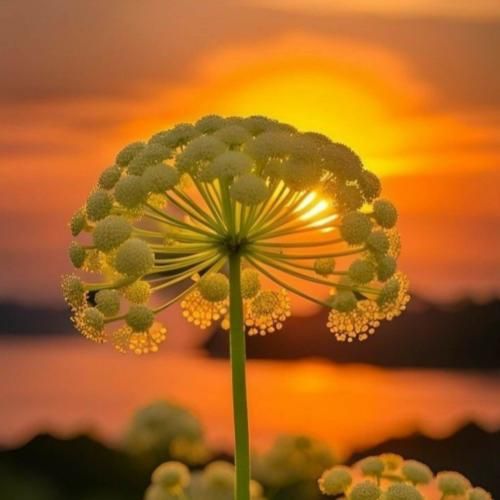  دوباره با اون دستات منو نوازشم کن دل من – هوش مصنوعی