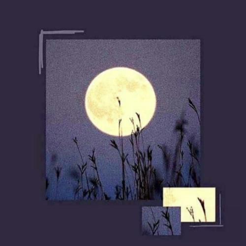 بابا این کاره داربستش شله پاهام دیگه