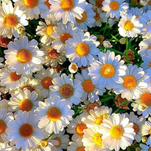 ما هنوز سرپاییم و هر روز سر کار